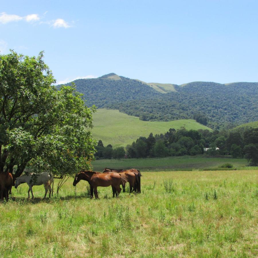 Evergreen Cabin Karkloof Villa Yarrow Екстериор снимка