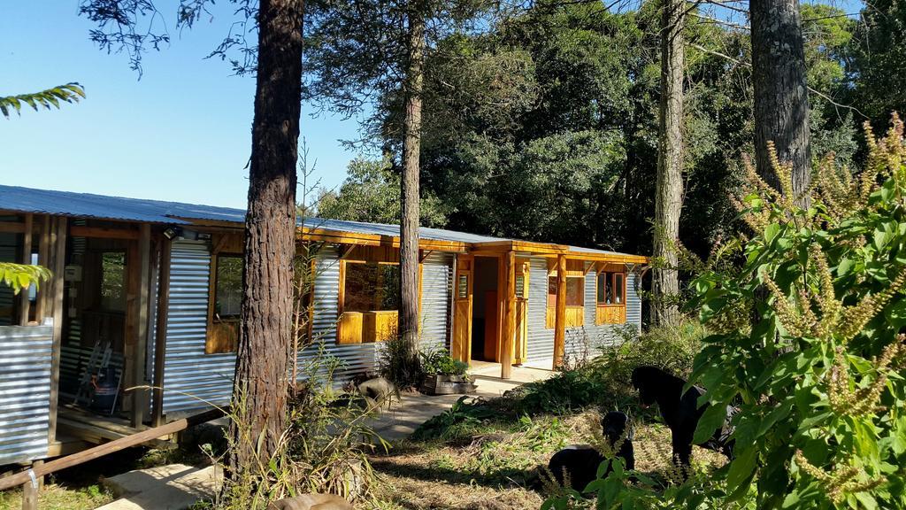 Evergreen Cabin Karkloof Villa Yarrow Екстериор снимка